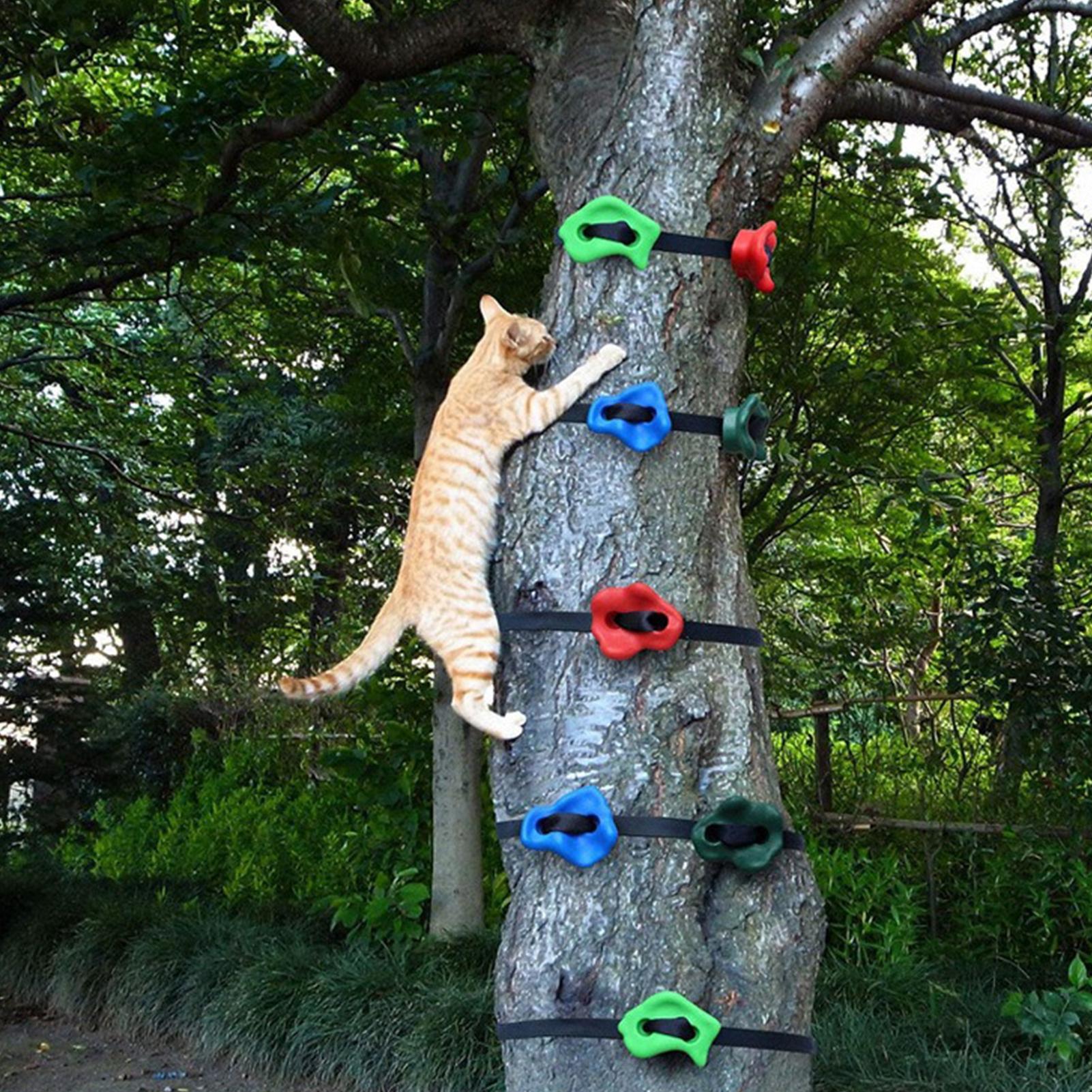 Brinquedos de Escalada ao Ar L - Outdoor Adventure Course avaliação e preço